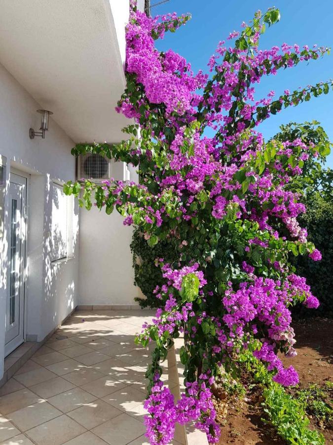 Apartment Bugenvilija Šibenik